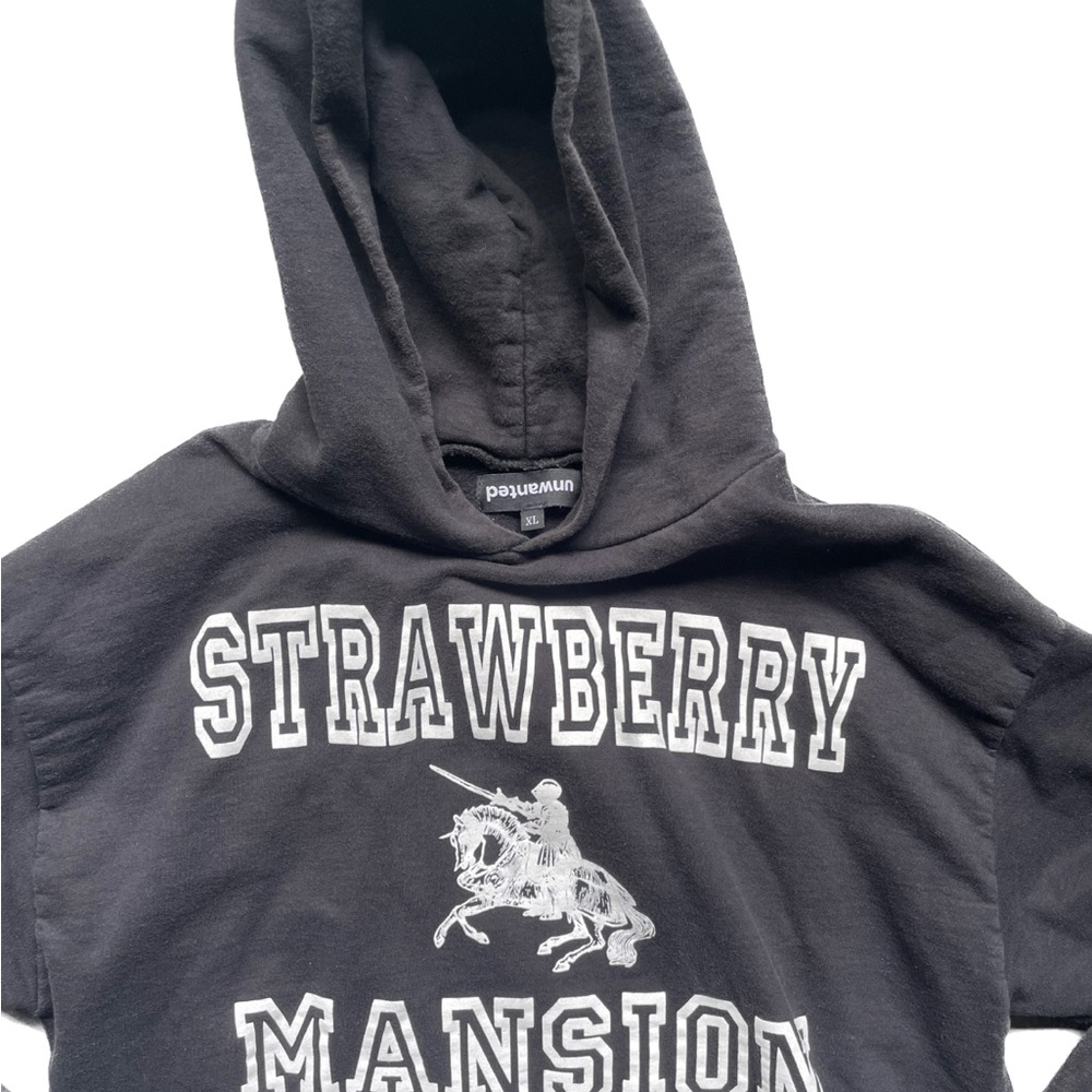 Strawberry Mansion Hoodie - Picture 3 of 3